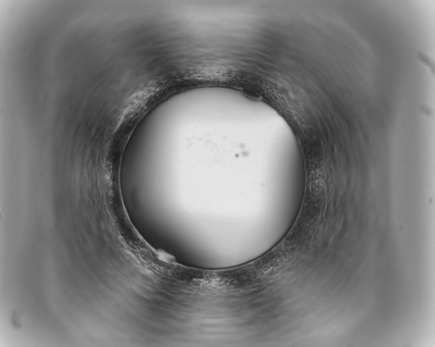 X0000093360688200710251131