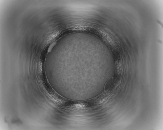 X0000093360692200710251131