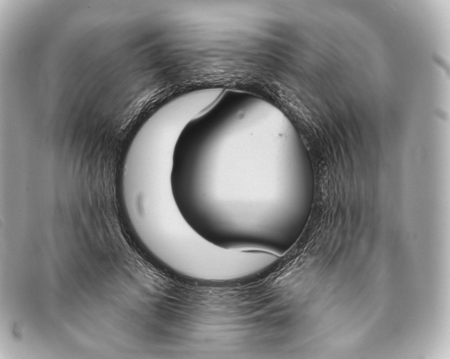 X0000093360693200710251131