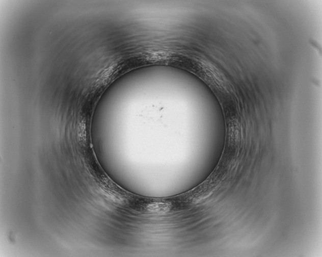 X0000093360700200710251131