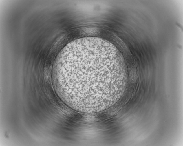 X0000093360701200710251131