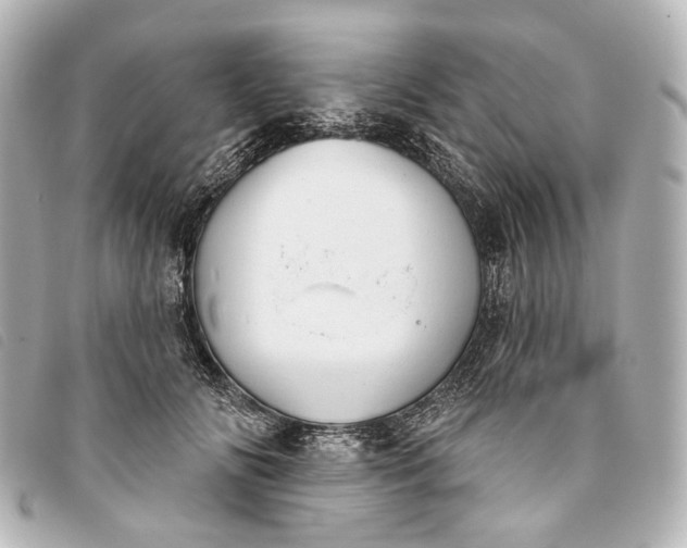 X0000093360702200710251131