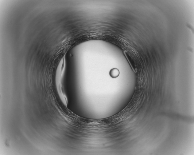 X0000093360703200710251131