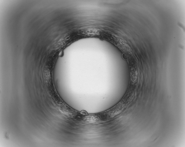 X0000093360704200710251131