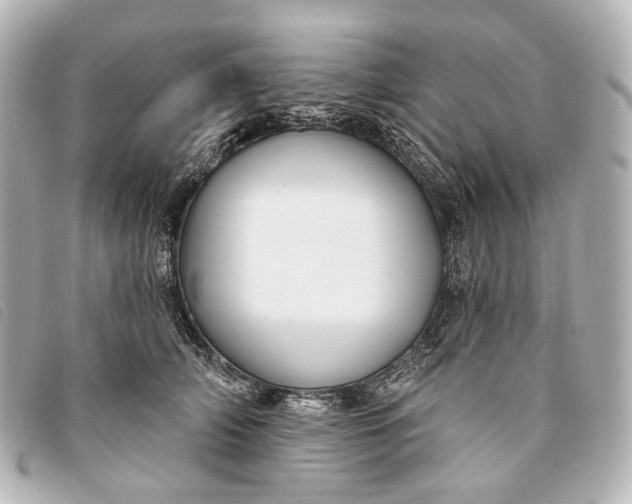 X0000093360706200710251131