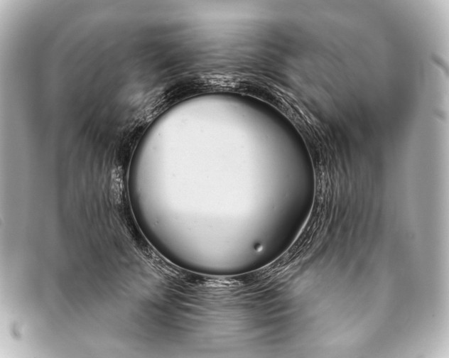 X0000093360707200710251131
