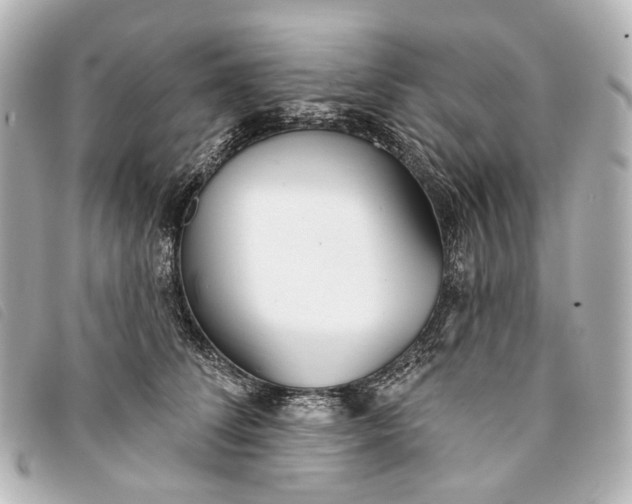 X0000093360708200710251131