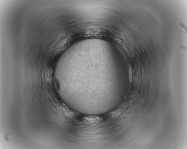 X0000093360712200710251131
