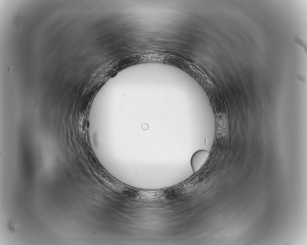 X0000093360713200710251131