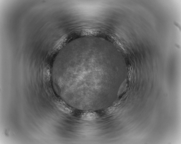 X0000093360716200710251131