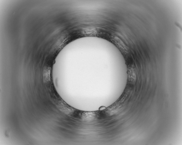 X0000093360717200710251131