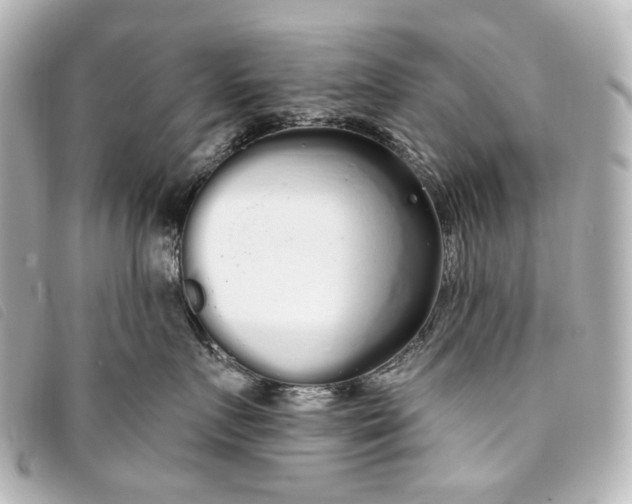 X0000093360719200710251131