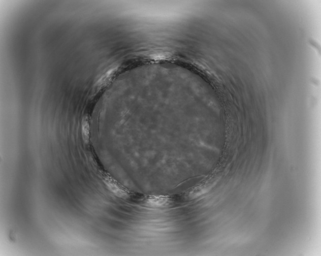 X0000093360720200710251131