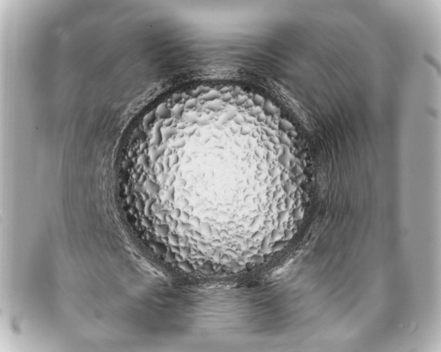 X0000093360721200710251130