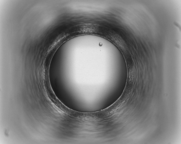 X0000093360722200710251130