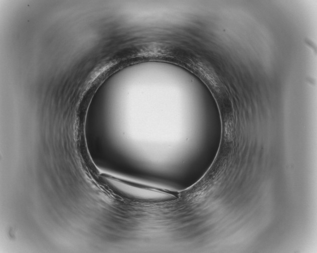 X0000093360724200710251130