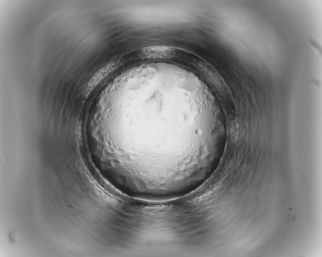 X0000093360725200710251130
