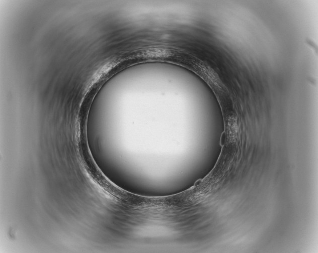 X0000093360726200710251130