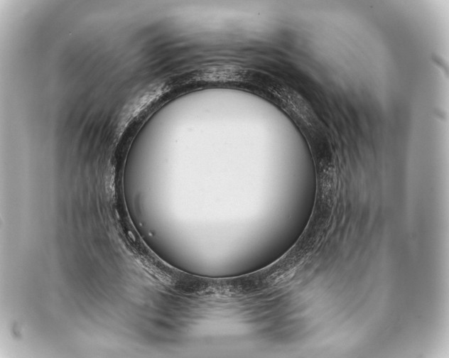 X0000093360727200710251130