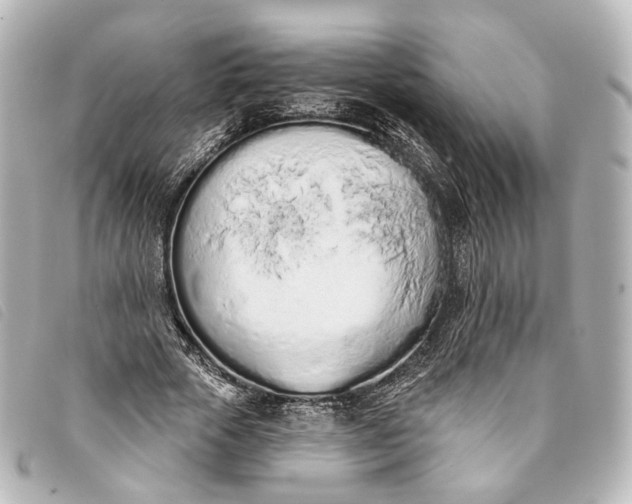 X0000093360729200710251130