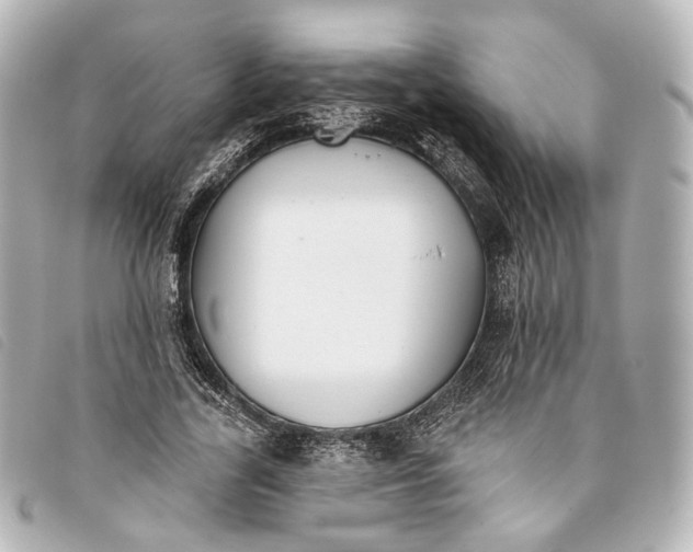 X0000093360731200710251130
