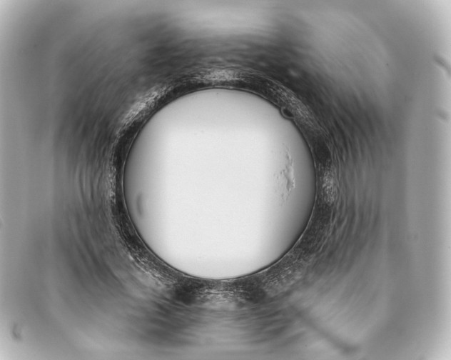 X0000093360732200710251130