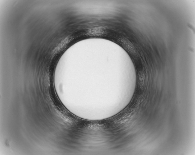 X0000093360734200710251130