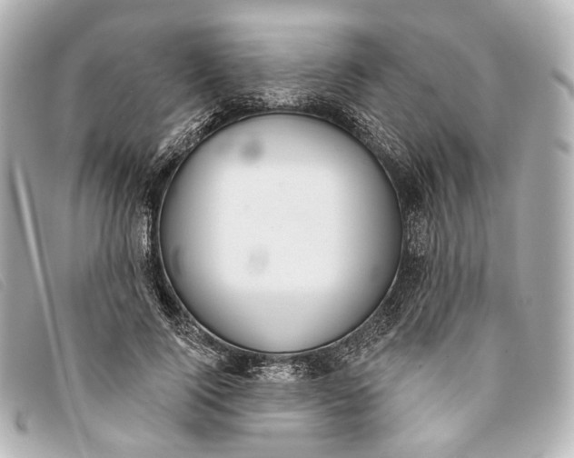 X0000093360740200710251131