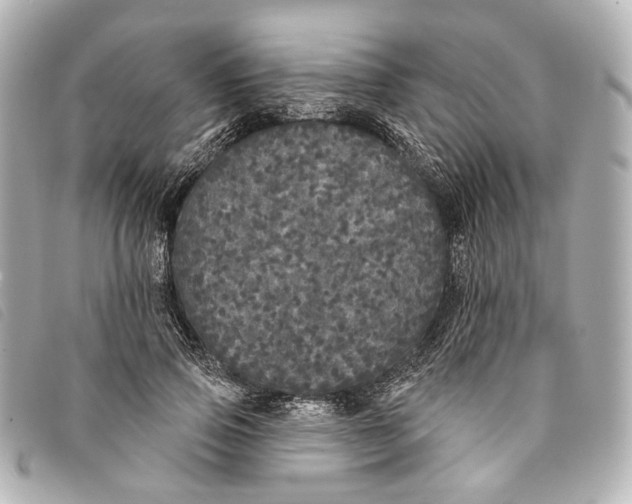 X0000093360741200710251131