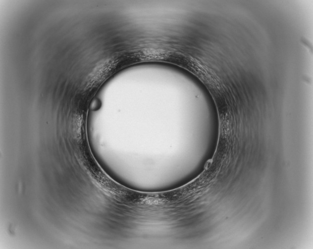 X0000093360742200710251131