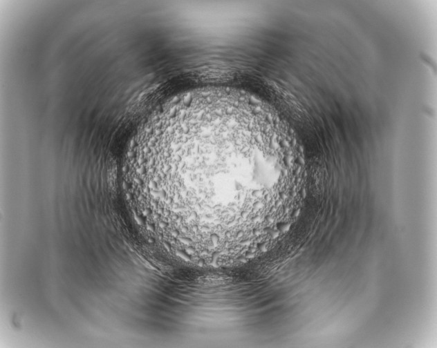 X0000093360745200710251131