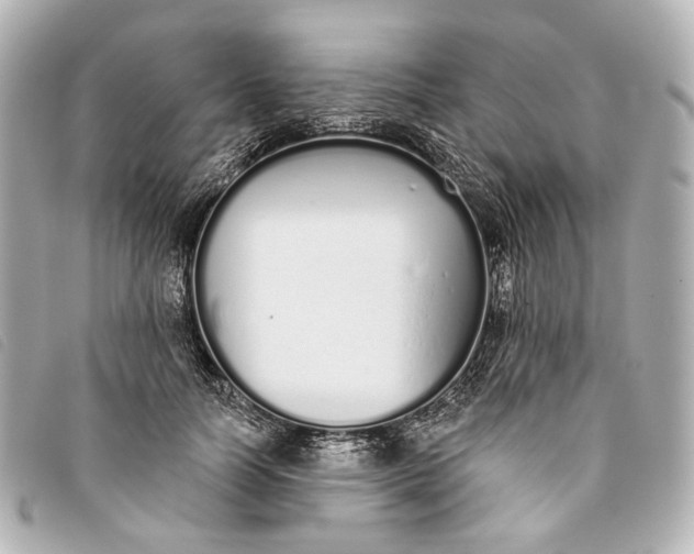 X0000093360746200710251131
