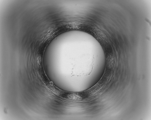X0000093360747200710251131