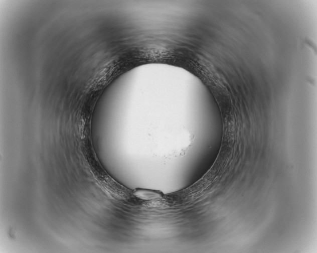 X0000093360750200710251131