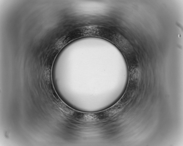 X0000093360753200710251131