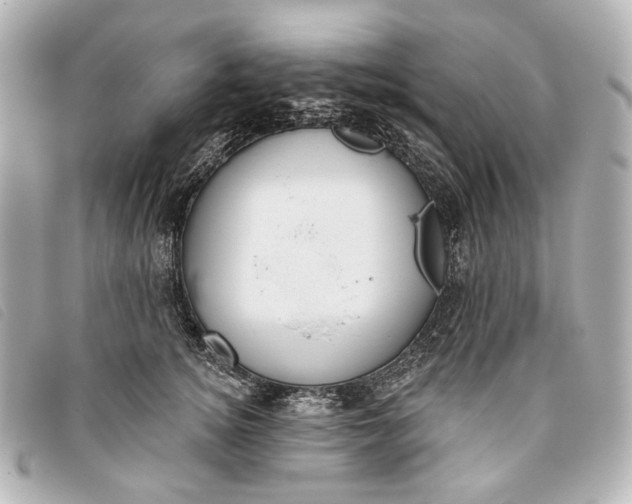 X0000093360756200710251131
