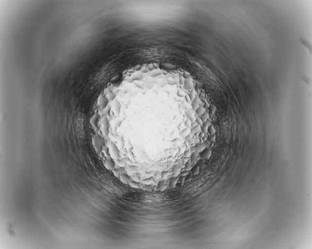 X0000093360757200710251131
