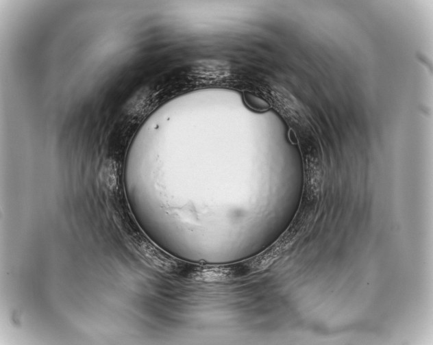 X0000093360758200710251131