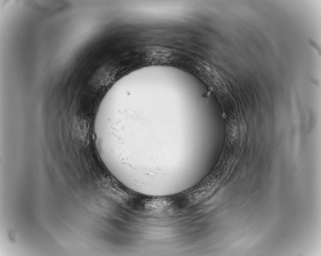 X0000093360759200710251131