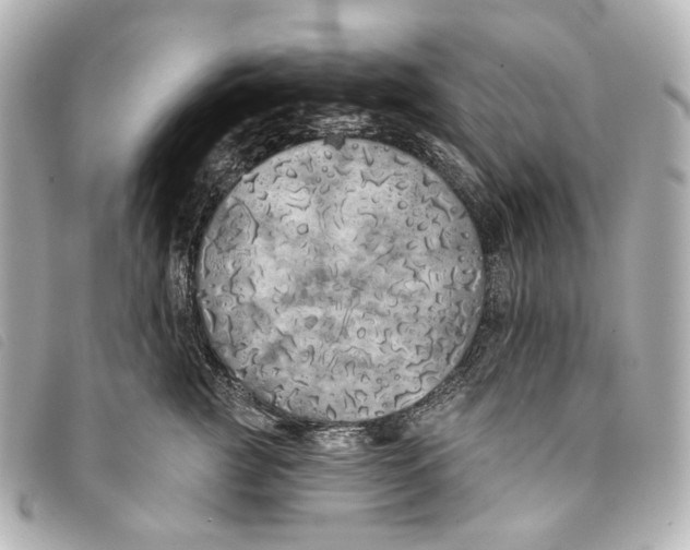 X0000093360761200710251131