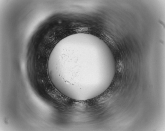 X0000093360763200710251131