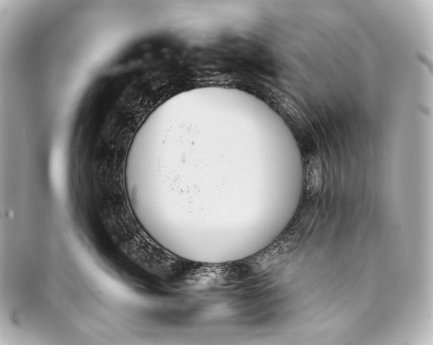 X0000093360764200710251131