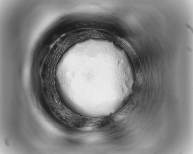 X0000093360765200710251131