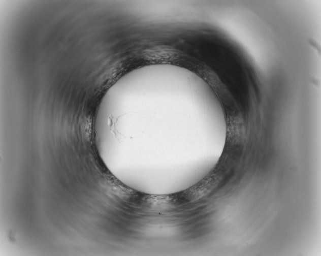 X0000093360767200710251131
