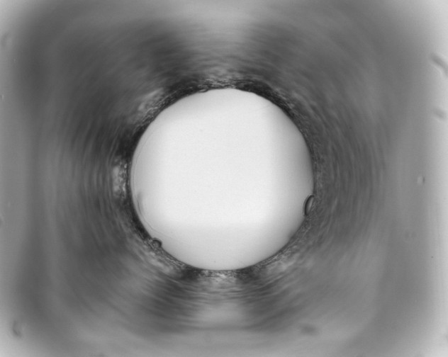 X0000093360768200710251131