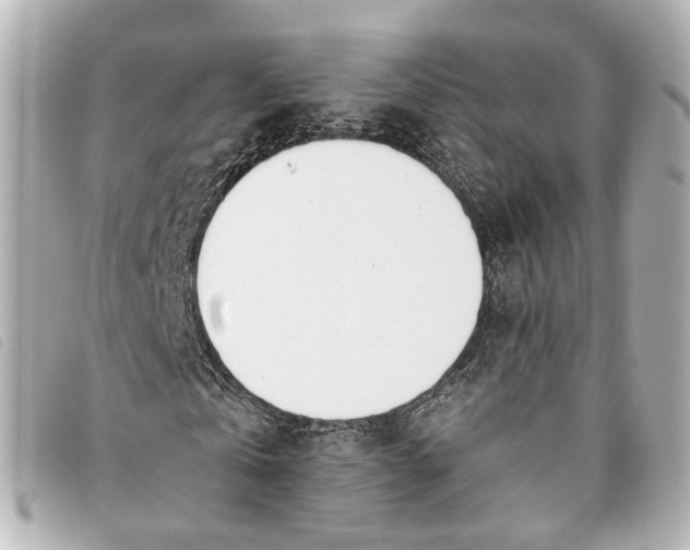 X0000093360769200710251130
