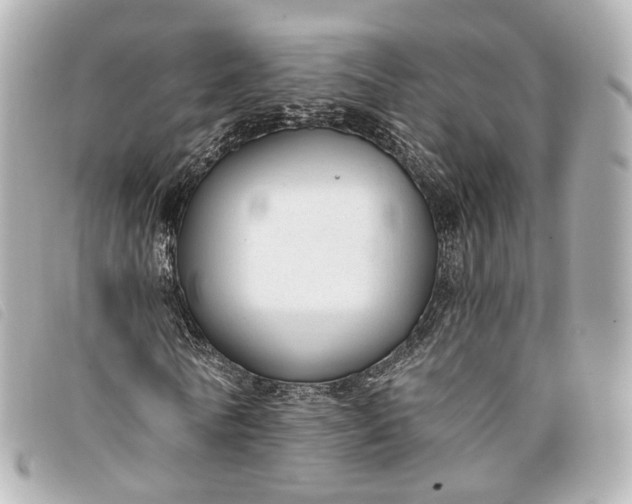 X0000093360770200710251130