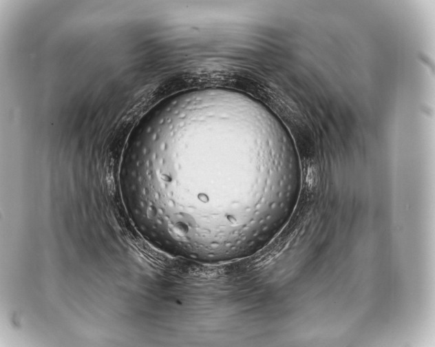 X0000093360771200710251130