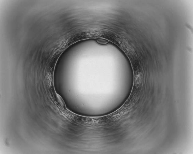 X0000093360772200710251130
