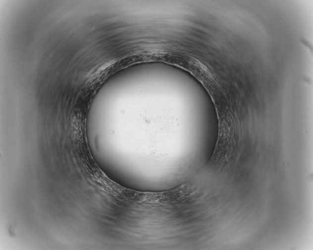 X0000093360773200710251130